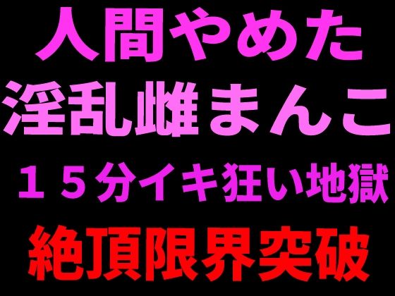 人間やめた淫乱雌まんこ 15分イキ狂い地獄 絶頂限界突破｜絶頂ひとりオナ子｜同人誌