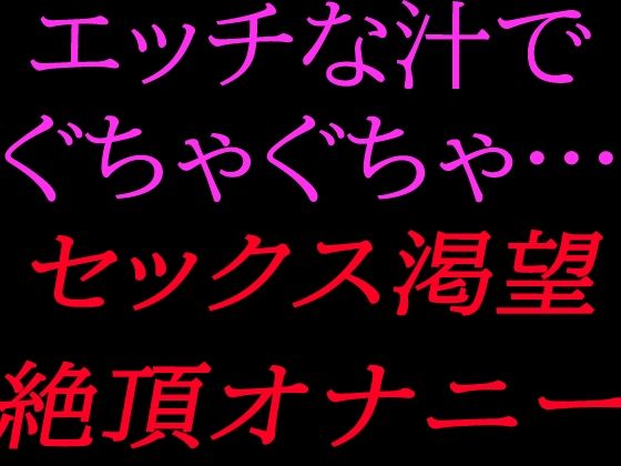 エッチな汁でぐちゃぐちゃ…セックス渇望絶頂オナニー｜絶頂ひとりオナ子｜同人誌