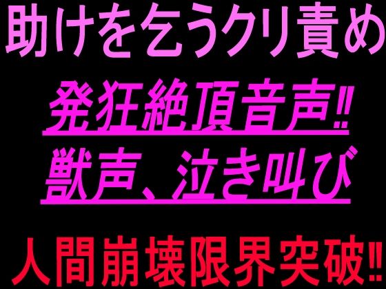 助けを乞うクリ責め発狂絶頂音声！！獣声、泣き叫び、人間崩壊限界突破！！｜絶頂ひとりオナ子｜同人誌