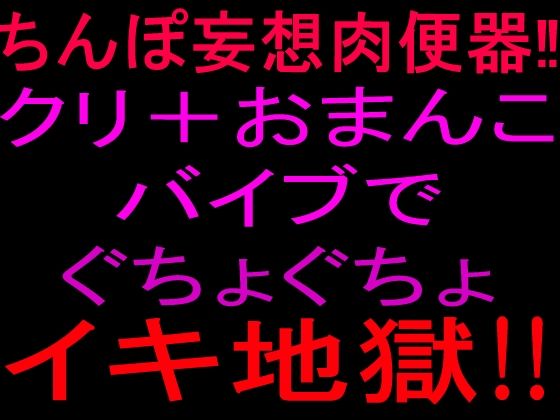 ちんぽ妄想肉便器！！クリ＋おまんこバイブでぐちょぐちょイキ地獄！！｜絶頂ひとりオナ子｜同人誌