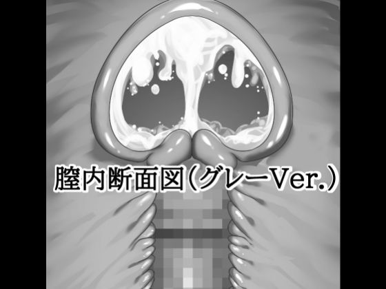 膣内断面図素材（グレーVer.）｜水の木｜同人誌