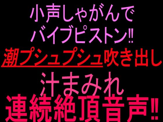 小声しゃがんでバイブピストン！！潮プシュプシュ吹き出し、汁まみれ連続絶頂音声！！｜絶頂ひとりオナ子｜同人誌