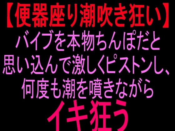 【便所座り潮吹き狂い】バイブを本物ちんぽだと思い込んで激しくピストンし、何度も潮を噴きながらイキ狂う｜絶頂ひとりオナ子｜同人誌
