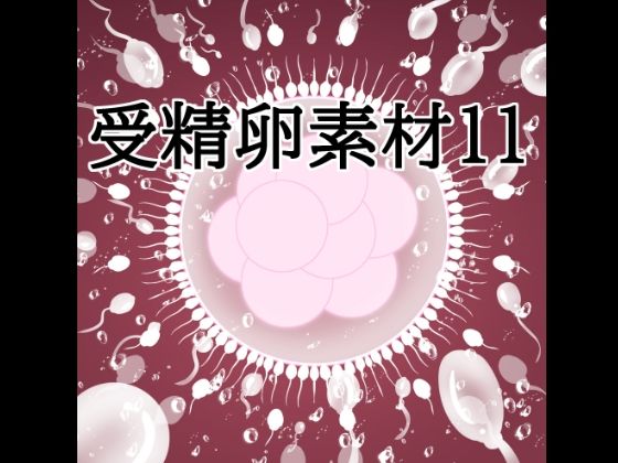 受精卵素材11｜水の木｜同人誌